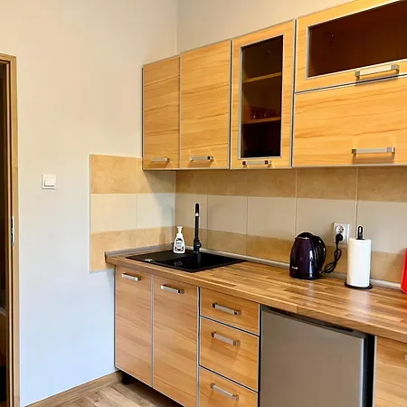 Lejlighed Na Ksiezym Mlynie Iii Łódź