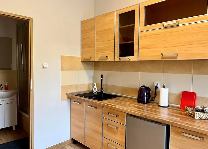 Lejlighed Na Ksiezym Mlynie Iii Łódź